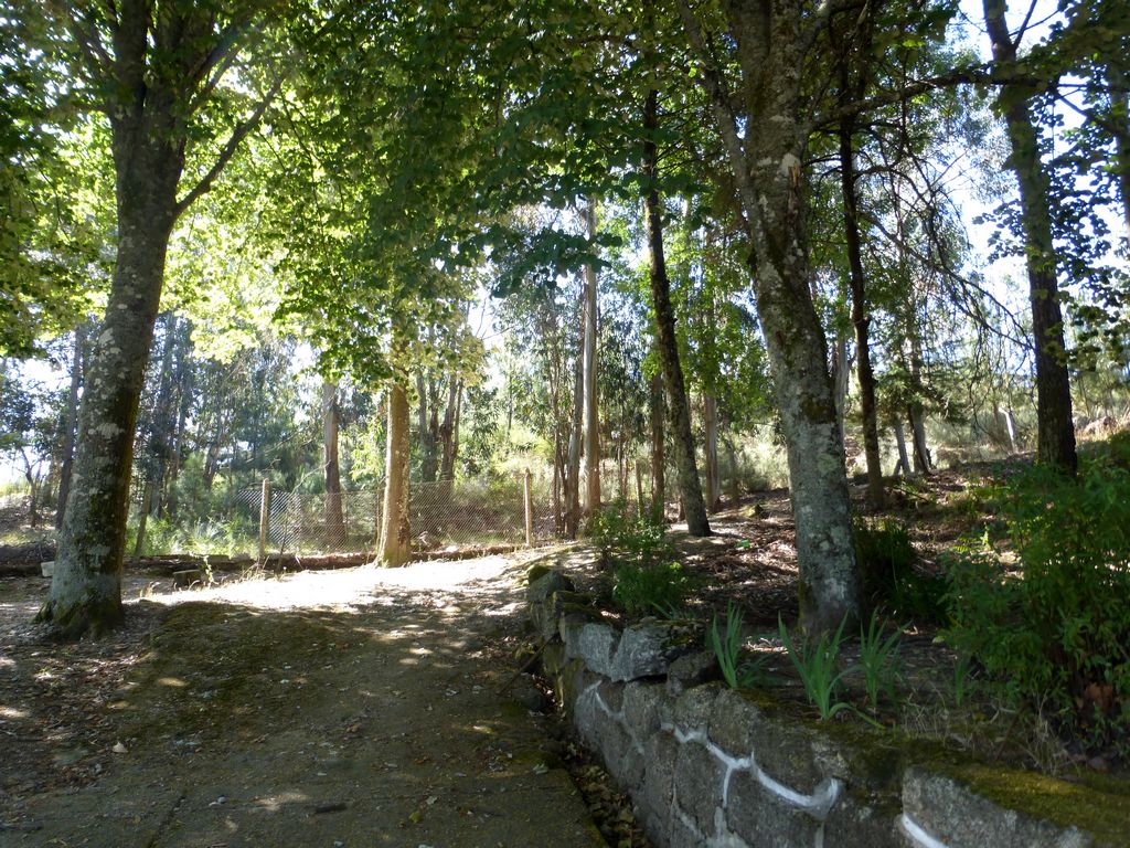 Farm